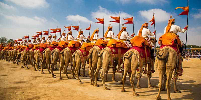 Camel Festival Bikaner 