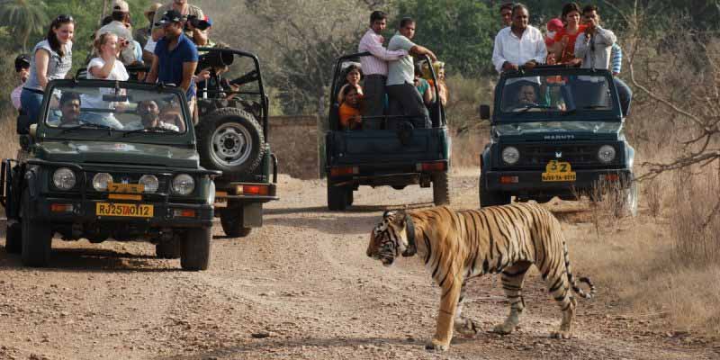Kumbhalgarh Wildlife Sanctuary