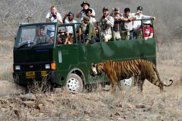 Rajasthan Wildlife Tours